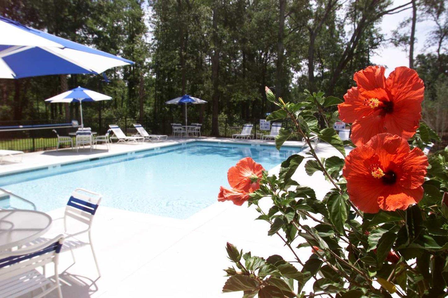 Hampton Inn Charleston-Daniel Island Экстерьер фото